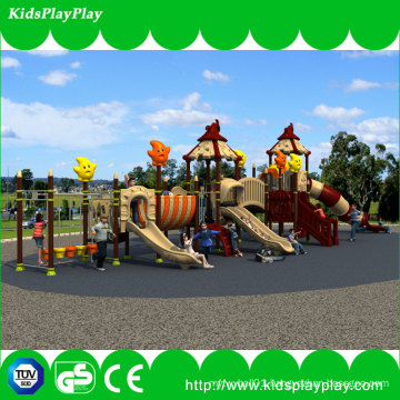 Amusement Park Kids Outdoor Playground Equipment with Plastic Slide (KP13-53)